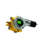 Honeywell Gas Detector OELD 1